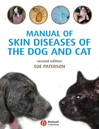 Группа авторов. Manual of Skin Diseases of the Dog and Cat