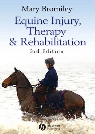 Equine Injury, Therapy and Rehabilitation. Группа авторов