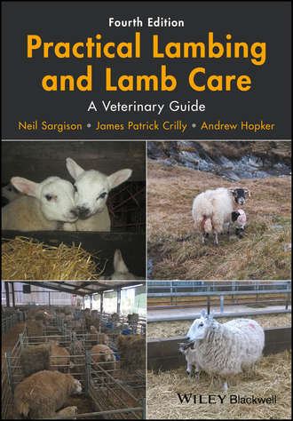 Neil Sargison. Practical Lambing and Lamb Care