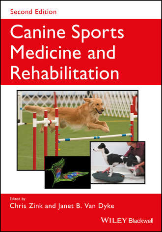 Chris  Zink. Canine Sports Medicine and Rehabilitation