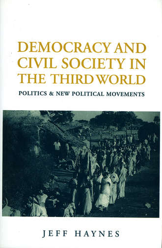 Группа авторов. Democracy and Civil Society in the Third World