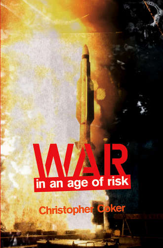 Группа авторов. War in an Age of Risk