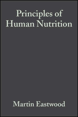 Группа авторов. Principles of Human Nutrition