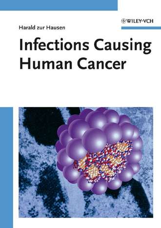 Группа авторов. Infections Causing Human Cancer