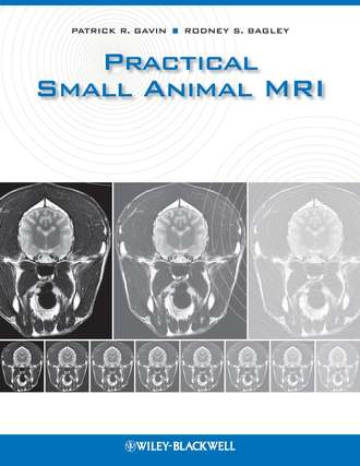 Patrick Gavin R.. Practical Small Animal MRI