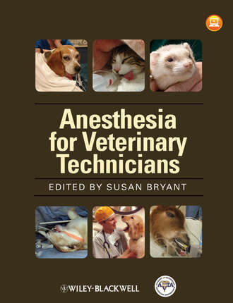Anesthesia for Veterinary Technicians. Susan  Bryant
