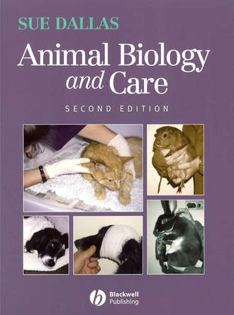Animal Biology and Care. Группа авторов