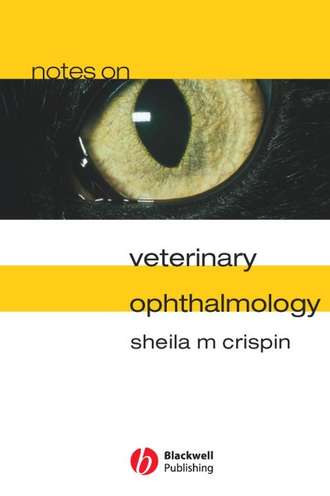 Группа авторов. Notes on Veterinary Ophthalmology