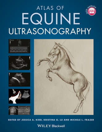 Kristina Lu G.. Atlas of Equine Ultrasonography