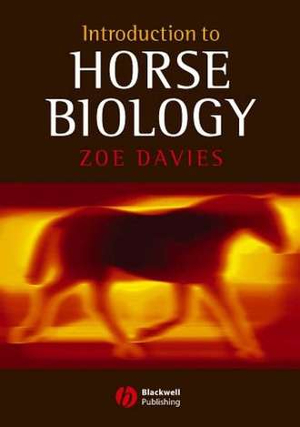 Группа авторов. Introduction to Horse Biology