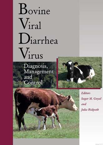 Bovine Viral Diarrhea Virus. Julia Ridpath F.