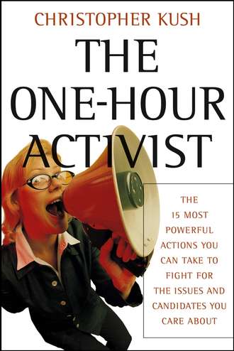 Группа авторов. The One-Hour Activist