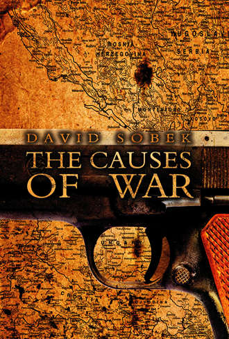 Группа авторов. The Causes of War