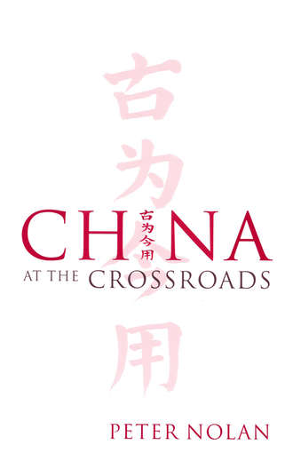 Группа авторов. China at the Crossroads
