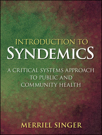 Группа авторов. Introduction to Syndemics
