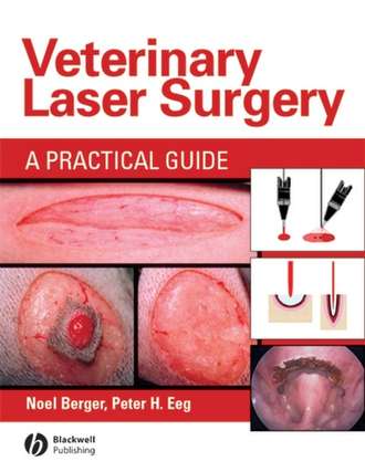 Peter Eeg H.. Veterinary Laser Surgery