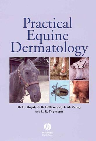 David  Lloyd. Practical Equine Dermatology