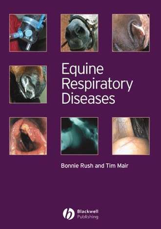 Tim  Mair. Equine Respiratory Diseases