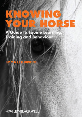 Группа авторов. Knowing Your Horse