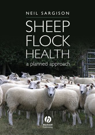Группа авторов. Sheep Flock Health