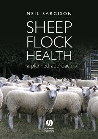 Sheep Flock Health. Группа авторов