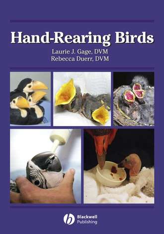 Rebecca Duerr S.. Hand-Rearing Birds