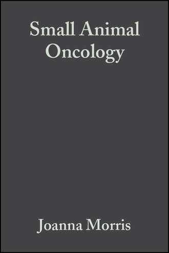 Joanna  Morris. Small Animal Oncology
