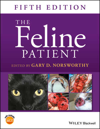 Группа авторов. The Feline Patient
