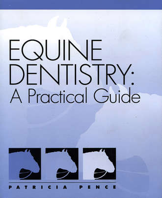 Группа авторов. Equine Dentistry