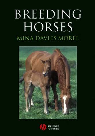 Группа авторов. Breeding Horses