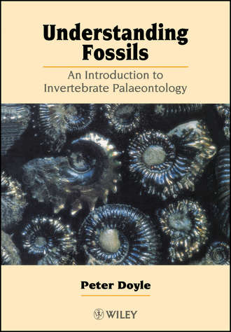 Группа авторов. Understanding Fossils