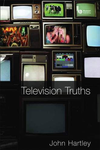 Группа авторов. Television Truths