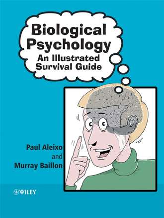 Paul  Aleixo. Biological Psychology