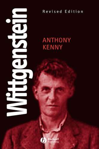 Группа авторов. Wittgenstein