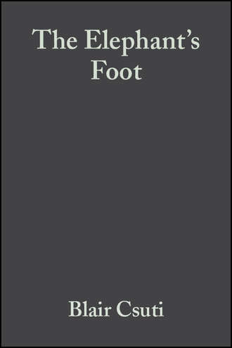 The Elephant's Foot. Blair  Csuti
