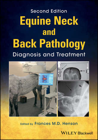 Группа авторов. Equine Neck and Back Pathology