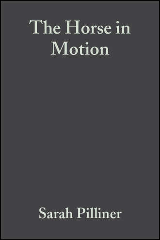 Sarah  Pilliner. The Horse in Motion