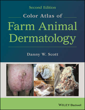 Группа авторов. Color Atlas of Farm Animal Dermatology