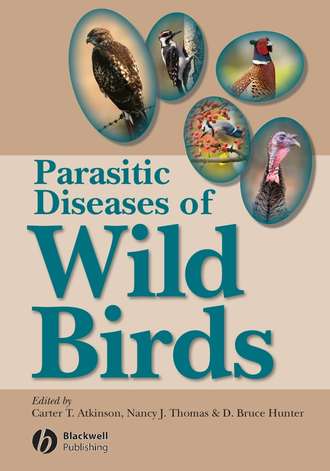 D. Hunter Bruce. Parasitic Diseases of Wild Birds