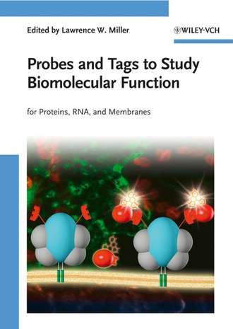 Группа авторов. Probes and Tags to Study Biomolecular Function