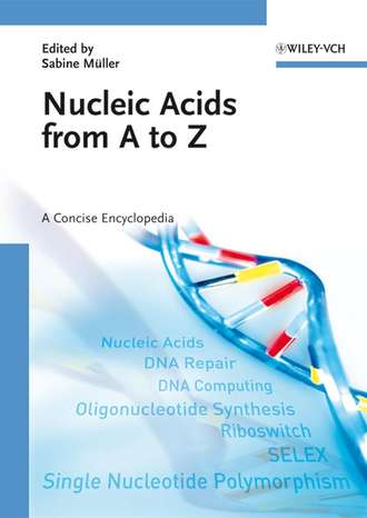 Группа авторов. Nucleic Acids from A to Z