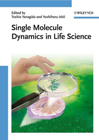 Toshio  Yanagida. Single Molecule Dynamics in Life Science