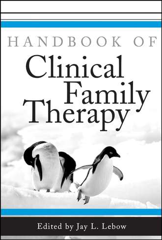 Группа авторов. Handbook of Clinical Family Therapy