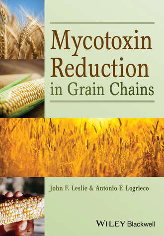 Antonio  Logrieco. Mycotoxin Reduction in Grain Chains