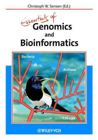 Группа авторов. Essentials of Genomics and Bioinformatics
