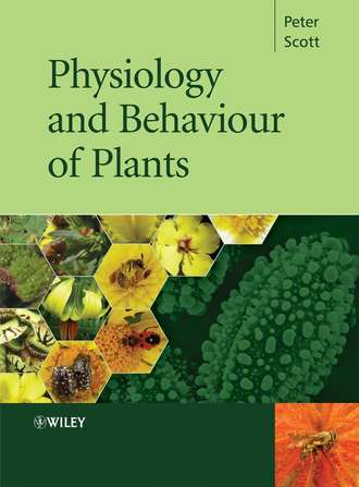 Группа авторов. Physiology and Behaviour of Plants