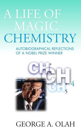 Группа авторов. A Life of Magic Chemistry