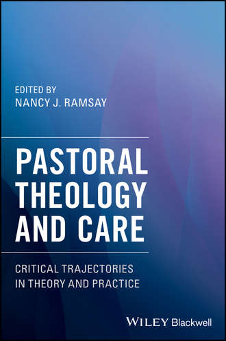 Группа авторов. Pastoral Theology and Care