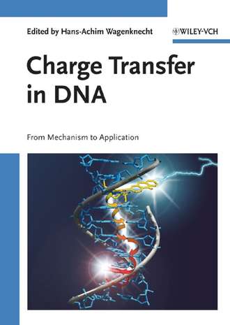 Hans-Achim  Wagenknecht. Charge Transfer in DNA