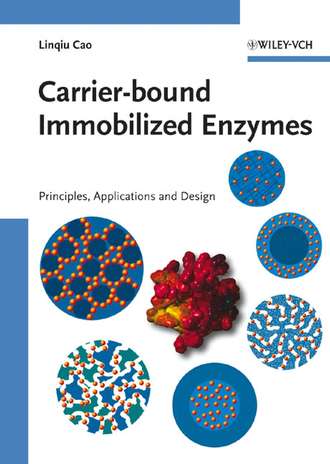Linqiu  Cao. Carrier-bound Immobilized Enzymes